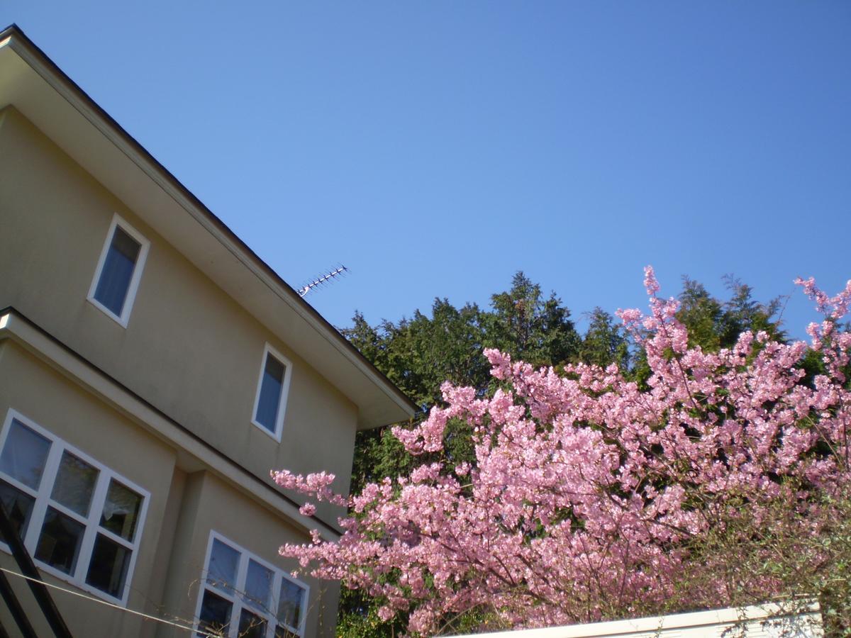 Chiisana Hotel Hanaikada Ito  Zewnętrze zdjęcie
