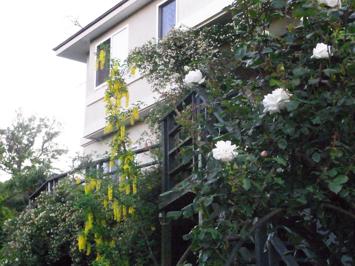 Chiisana Hotel Hanaikada Ito  Zewnętrze zdjęcie